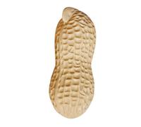 BESTYASH Décoration de Cacahuète Artificielle 30 Cm, Centre de Table Géant en Mousse, Accessoire Photo pour Fête, Décoratif Réaliste pour Maison et Événement