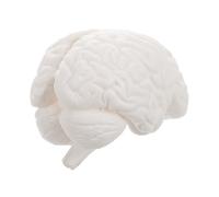 BESTYASH Modèle Anatomique Détachable Parties Blanc Outil Pédagogique pour Enseignement Humaine Psychologie et Support Éducatif Scientifique