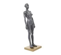 BESTYASH Modèle Anatomique Musculaire Féminin Demi-torse Résine pour Dessin Artistique Étude Squelette et Muscles Outil Pédagogique pour Écoles et Artistes Couleur