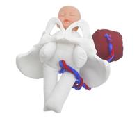BESTYASH Modèle de Bassin d'Accouchement Miniature Fœtus Cordon Ombilical et Placenta Outil Pédagogique pour Études Médicales et Formation Sage-Femme