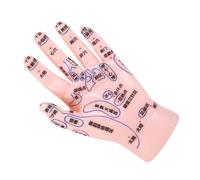 BESTYASH Modèle de Formation Acupuncture Main Durable PVC avec Affichage des Points Dacupression pour Apprentissage Réflexologie Adapté Aux et Écoles Tcm