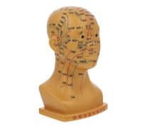 BESTYASH Modèle de Tête Acupuncture Professionnel de Maquette Pédagogique Points Acupoints Humains pour Enseignement Pratique Médecine Traditionnelle Chinoise
