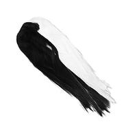 BESTYASH Perruque Synthétique Longue Dégradée Noire Et Blanche Résistante à Haute Température Wig Droite Mode Cosplay Halloween Style Demi-noir Demi-blanc Pour Maquillage Et Fête