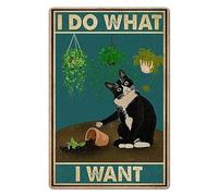 Bestylez Décoration murale amusante avec motif de chat - Cadeau pour la maison, le bureau, la cuisine - 20,3 x 30,5 cm (915)