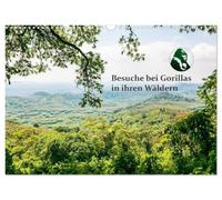 Besuche bei Gorillas in ihren Wäldern (Wandkalender 2027 DIN A3 quer), CALVENDO Monatskalender: Bei Reisen in Schutzgebiete haben Fotografen einzigartige Aufnahmen von Gorillas gemacht.