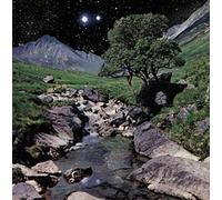 Beta Band, the - Beta Band