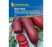 Bete Taunus F1 Betterave en forme de rouleau avec viande rouge foncé uniforme, sans anneaux, hybride F1