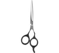 Beter Ciseaux à Cheveux Stainless 15cm