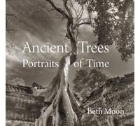 Beth Moon Ancient Trees (Relié)