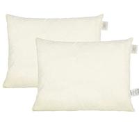beties Coussin en Plumes PublikPrall Lot de 2 Environ 50x60 cm Coussin Coussin de canapé Coussin décoratif Plumes d'oreiller de différentes Tailles Housse 100% Coton (Remplissage +100%)