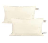 beties PublikSoft Lot de 2 Oreiller en Duvet d'environ 30x50 cm Oreiller de canapé Oreiller décoratif Oreiller de Couchage Housse 100% Coton Blanches Duvet