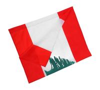 BETOOKY Drapeau Libanais en Polyester Léger Manche pour Mât, Portable Couleurs Intenses, pour Décorer Votre Jardin ou Cérémonie de Bienvenue