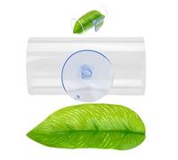 Betta--acrylique Tunnel-aquarium Caché Avec Des Tasses D'aspiration | Fighting Fish Living Space Decoration Transparent | Conception Creuse Pour Les Espaces De Frai D'observation Lieux De Repos
