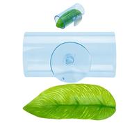 Betta--acrylique Tunnel-aquarium Caché Avec Des Tasses D'aspiration | Fighting Fish Living Space Decoration Transparent | Conception Creuse Pour Les Espaces De Frai D'observation Lieux De Repos