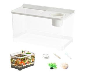 Betta Aquarium 3 ALIMINE COULEUR - Aquarium domestique | Aquarium de table pour le paysage du paysage de la maison d'entrée sur le lieu de travail chambre