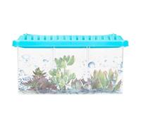 Betta Aquarium | Aquarium de bureau transparent | Petits séparateurs de bol à poissons | Kit de démarrage pour aquarium décoratif à plusieurs compartiments avec séparateurs amovibles pour la maison