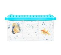 Betta Aquarium - Aquarium De Poisson Transparent | Réservoirs De Poisson De Bureau Conteneur Transparent, Aquarium Avec Diviseurs Amovibles, Disposition Multi -compartiment Ornamental Aquarium Kit