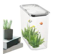 Betta Aquarium de bureau créatif transparent - Aquarium léger décoratif pour décoration de bureau