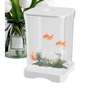 Betta Aquarium Tank - Haute Transparence 4K Bol À Poissons Avec Lumière LED, Bureau Créatif Petit Pour Décoration Intérieure, Écologique Panoramique | Kit De Démarrage Compact Office, Cuisine, Apparte
