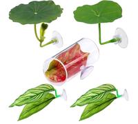 Betta Bed Hamac à feuilles - Accessoires d'aquarium Betta | Accessoire d'aquarium pour dormir et se reproduire | Lot de 5 feuilles d'habitat naturel pour gupy, ponte, repos ou cachette