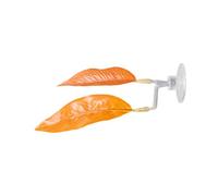 Betta Décoration d'Aquarium Ventouse Feuille Jouet Interactif | Hamac pour poissons de combat - Accessoire pour aquarium - Pour se reposer, jouer, élever et lutter - Pour petites crevettes