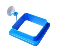 Betta Feeding Ring - Floating Circle Food Feeder for Fish & Shrimp