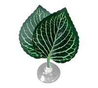 Betta Fish Leaf Pad, Betta Bed Leaf Hammock | Zone de Repos Confortable pour Le Poisson | La Zone de Repos du Poisson réaliste légère quitte des décorations pour Les décorations de réservoirs