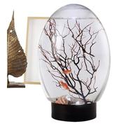 Betta Fish Tank - Compact Small Gold Fish Bowl With LED Light, Funny Desktop Landscape Ornament With Fan Branch Tree, Durable PET Aquarium Decor For Home, Studio