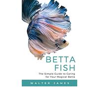 Betta Fish: The Simple Guide to Caring for Your Magical Betta