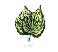 Betta Hamac à ventouse pour plantes - Lit réaliste pour aquarium - Décoration d'habitats