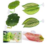 Betta Hamac avec feuille, 5 pièces décoration aquarium point de repos pour aquarium, abri décoratif pour amateurs d'élevage de crevettes et animaux de compagnie Corydoras nains