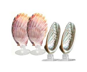 Betta Hamac pour aquarium | Habitat de repos en forme de coquillage avec ventouse | pour animal domestique, grotte, relaxation, élevage, crevettes, aquarium
