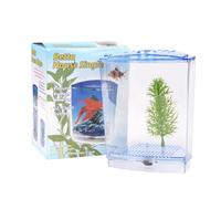 Betta - Mini aquarium - Kit d'écloserie en acrylique - Boîte d'isolation pour bureau et maison - Bleu