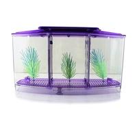 Betta - Mini aquarium - Kit d'écloserie en acrylique - Boîte d'isolation pour bureau et maison - Violet