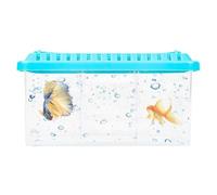 Betta Tank - Aquarium De Table Avec Diviseurs Amovibles | Aquarium De Combat Multi-grille | Petit Pour Poissons Aménagement paysager Avec Diviseurs, Matériel PP Haute Définition Pour L'ar