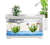 Betta Tank, Desktop Bettai Shrimp Fish Tanke, Easy Clean Feeder Decorative Clear Home Decor for Apartment Turtle Guppy Office Dorm Jellyfish Desktope Pet Lovers Desk