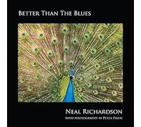 Better Than The Blues