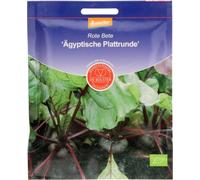 Betterave "Ägyptische Plattrunde" - 8 g