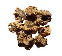 Betterave Fourragère Géante Rouge - 3 grammes - Beta Vulgaris - SEM20