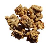 Betterave Fourragère Jaune de Vauriac - 40 grammes - Beta Vulgaris - SEM20