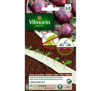 Betterave Grenade HF1 - Ruban de graines - 5 m