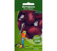 Betterave Noire d'Egypte