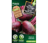 Betterave noire d'Egypte - Graines de Protecta paysan - Environ 4 gr | 102-Protecta