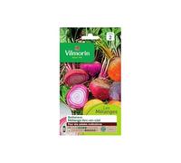 Betterave Potagère Arc-en-Ciel en mélange