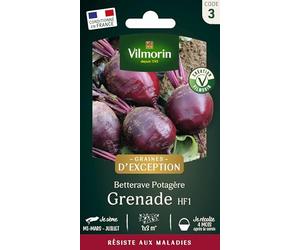 Betterave Potagère Grenade HF1 - Graines d'Exception