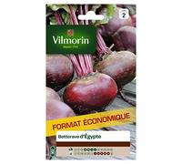 Vilmorin - Betterave Noire d'Egypte