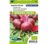 Betterave rouge, Betterave noire d'Egypte - Graines- Env. 4,5 g | SG0361