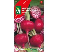 Betterave rouge Chioggia Graines - Chair sucrée