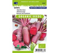 Betterave rouge Cylindra - Graines Biologiques