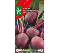 Betterave rouge Detroit 2 graines - Env. 5 gr | VT_903